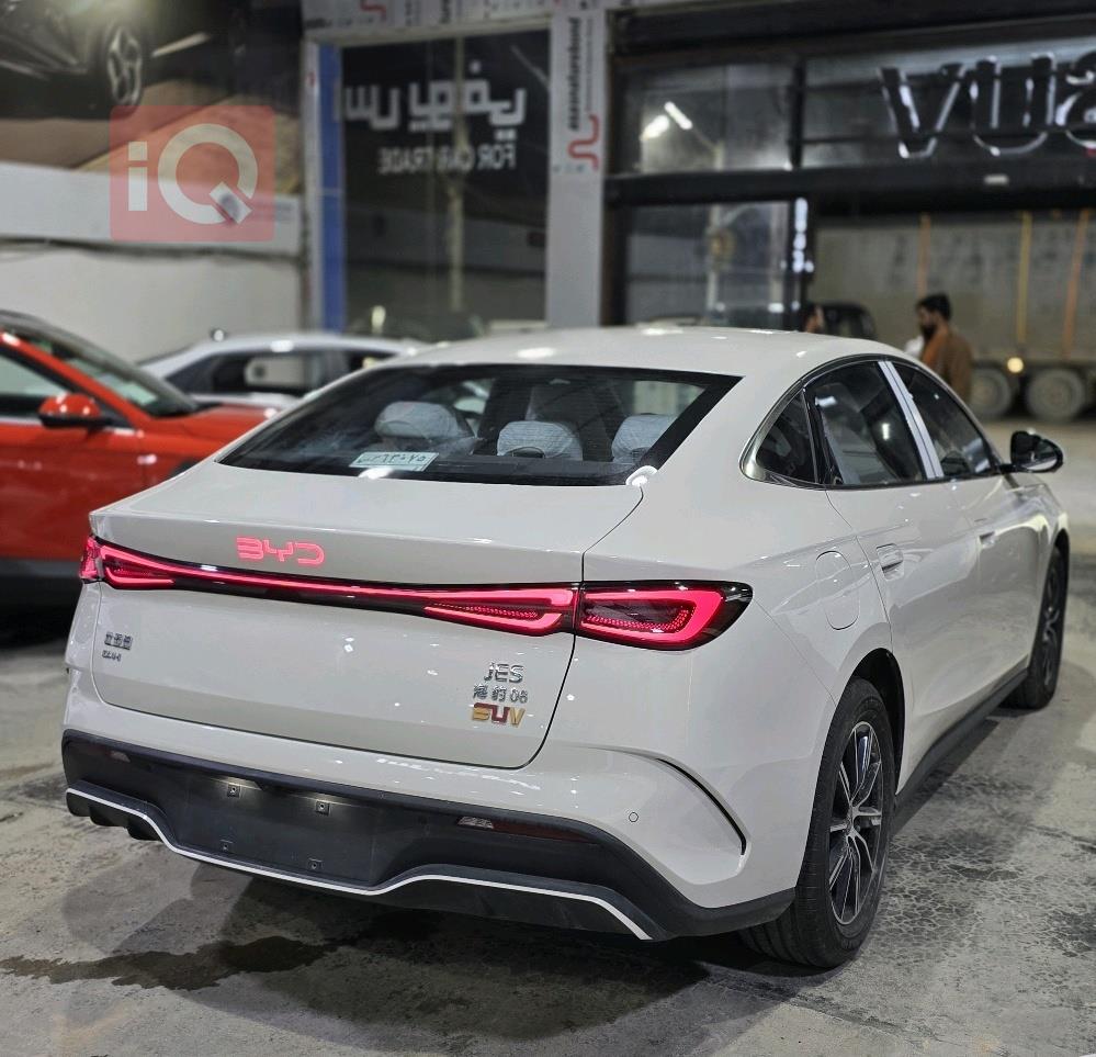 بي واي دي سيل 06 DM-i